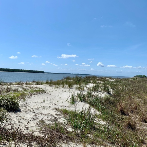 ๐ Pura vida! โ๐ปMarcela ๐จ๐ทโค๏ธ ๐บ๐ธ - Picture 3 of 3